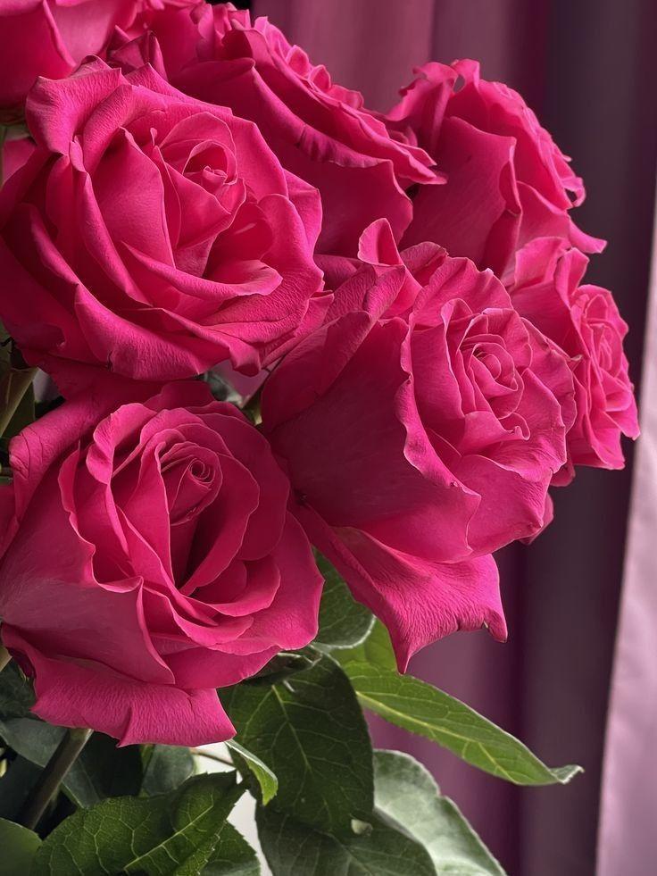 Corporate floral consultation example